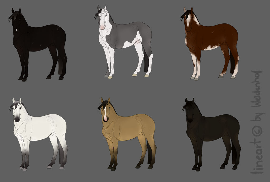 Free Horses - 100 Watchers! (CLOSED) by Anonymous-Shrew on DeviantArt