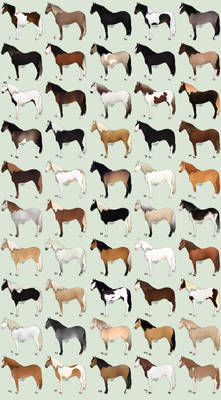 50 Horse Adoptables Batch - CLOSED