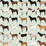 50 Horse Adoptables Batch - CLOSED