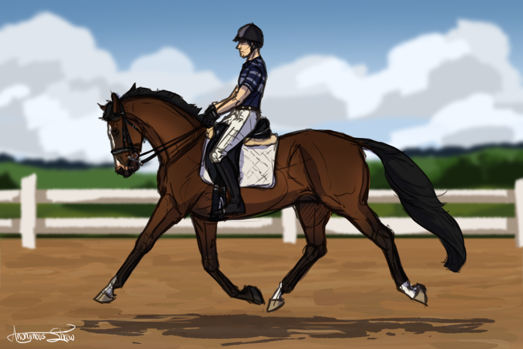 New [dressage] dream team