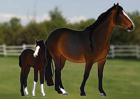 Lineage Foal Auction - CLOSED