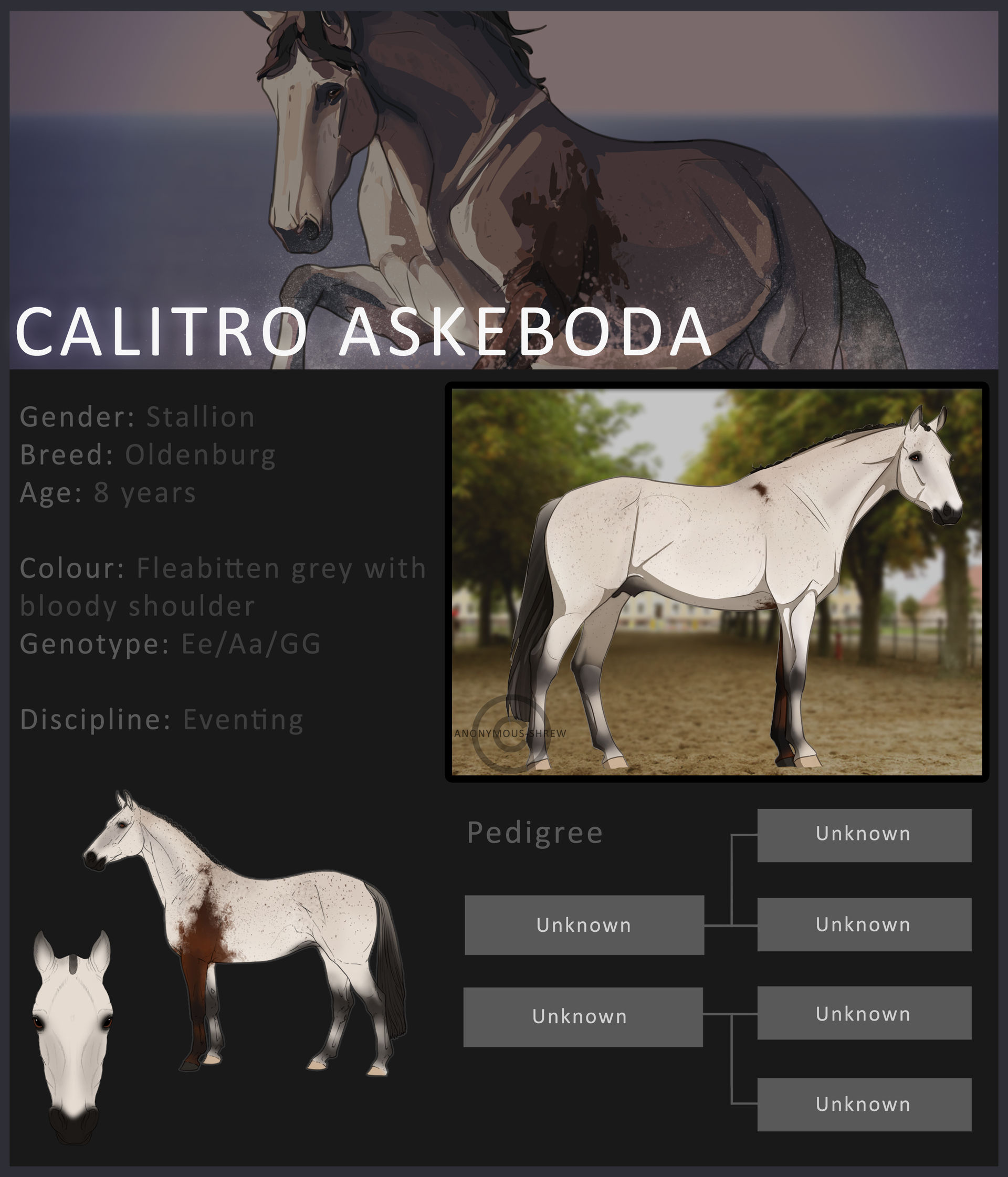 Calitro Askeboda