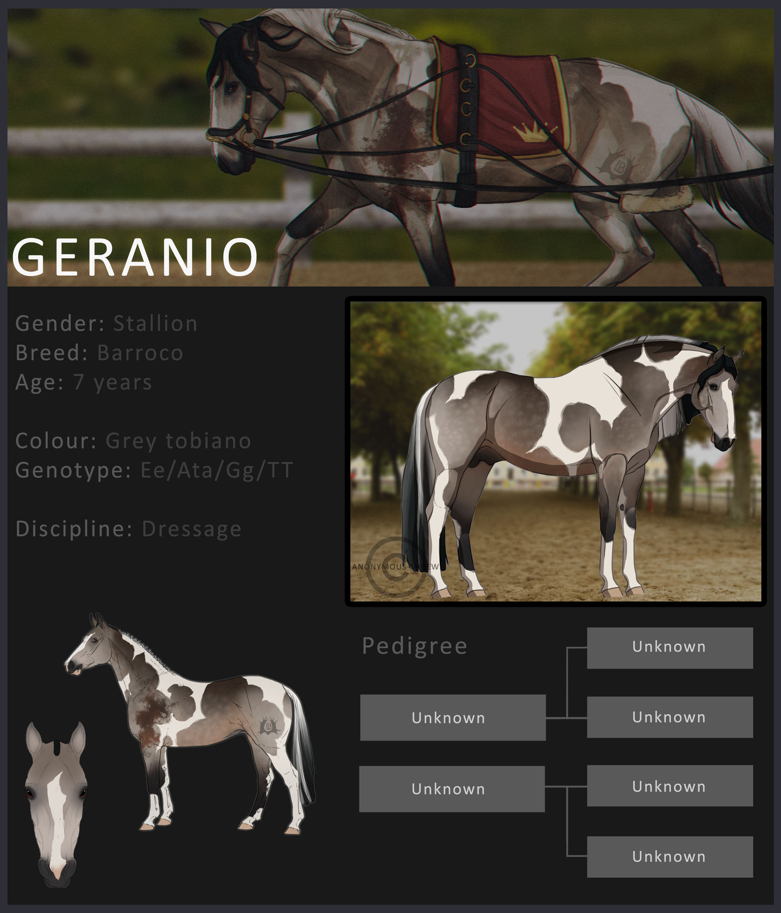 Geranio