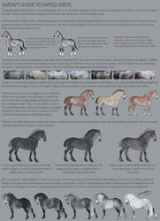 Shrew's Guide to Dapple Greys