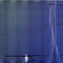 camera-monster. film texture