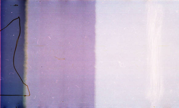 .lavender. film texture