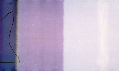 .lavender. film texture