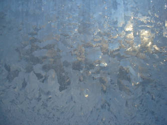 .frozen dew. stock texture