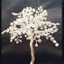 silver tree