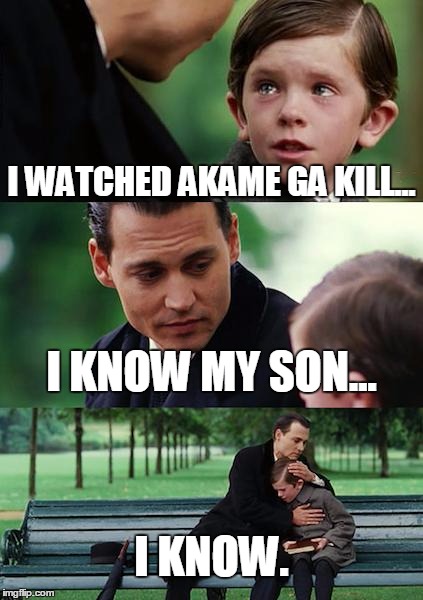 I watched Akame Ga Kill Sad Meme