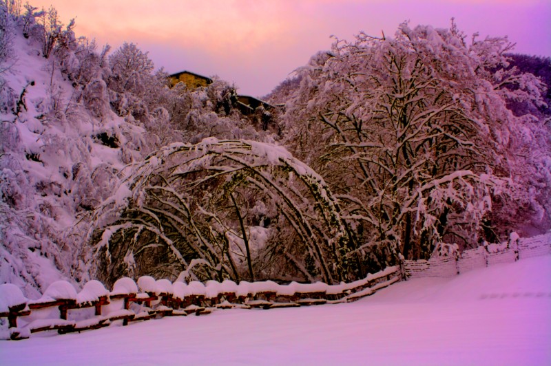 Neve pesante