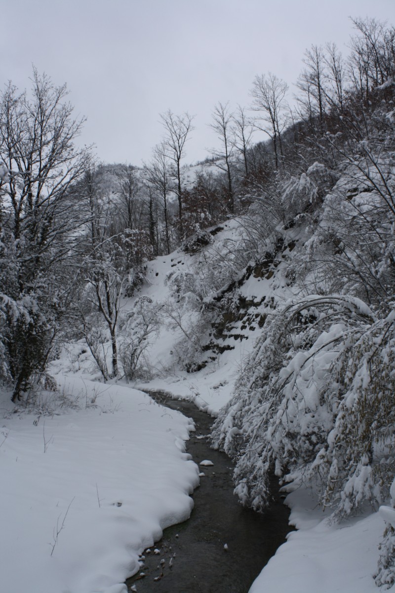 Il peso della neve