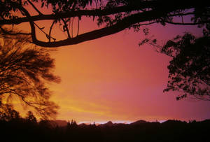 Frame II by Midnyt-Moonlight Frame II by Midnyt-Moonlight