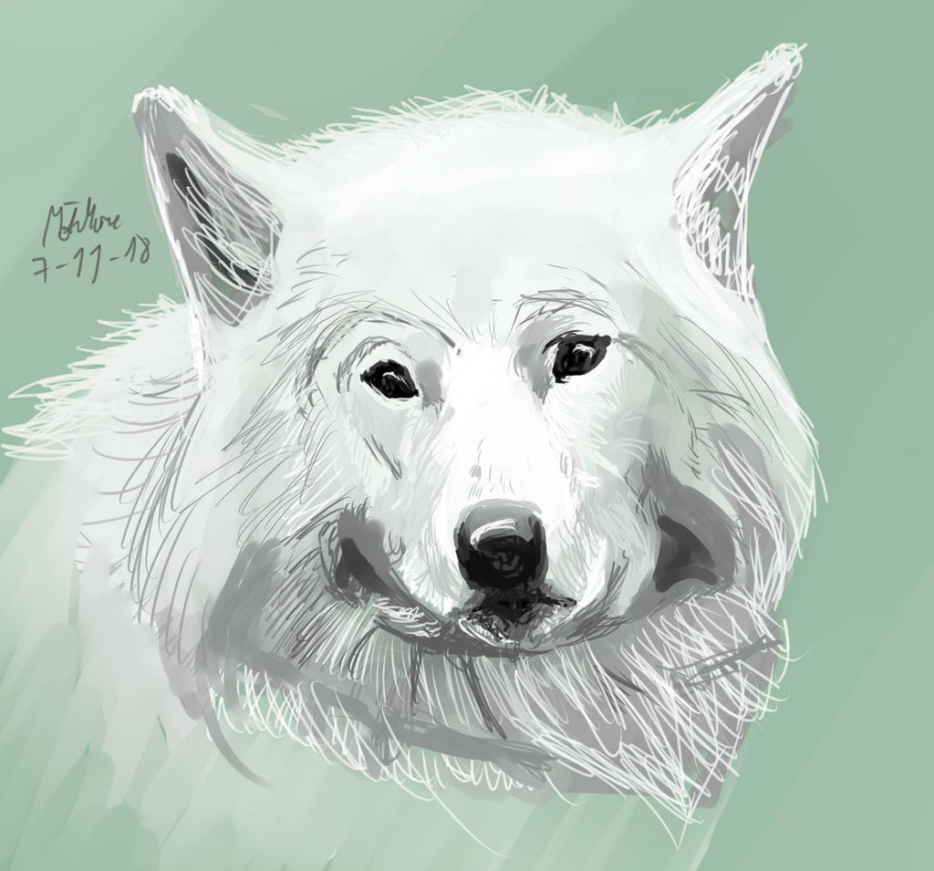 White Wolf by matsmoebius on DeviantArt