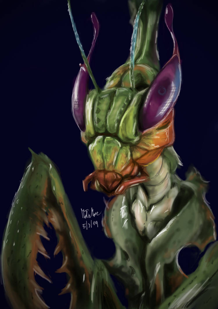 Mantis Version Mantis by matsmoebius on DeviantArt