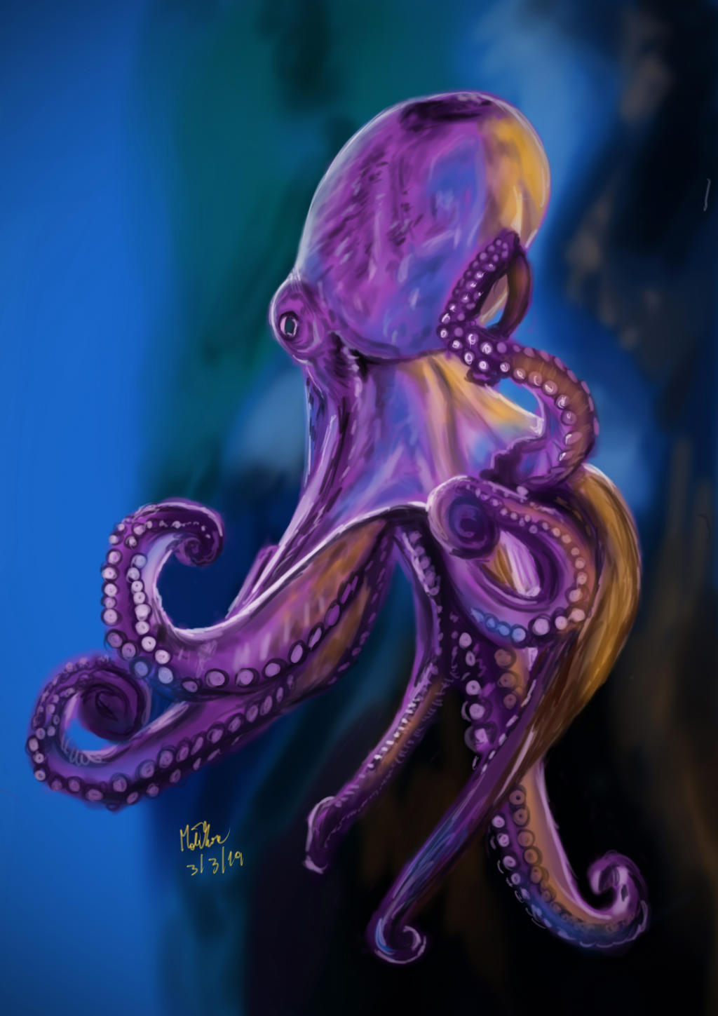 Octopus By Matsmoebius On DeviantArt octopus-by-matsmoebius-on-deviantart