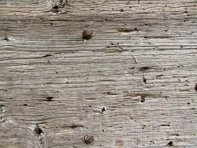 Old wood texture on door