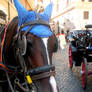 Horse and carriage