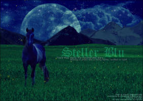 Steller Blu