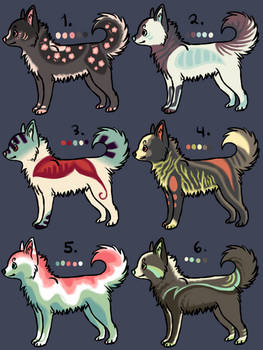 Chibi Wolf Adopts 3 -CLOSED-