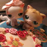 Be my Valentine