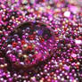 Magenta