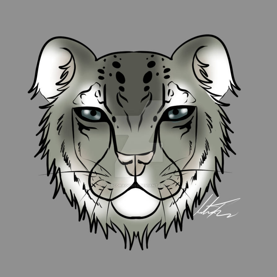 Snow Leapord by MercDragon93 on DeviantArt