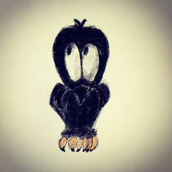 Crow owl cant tell 