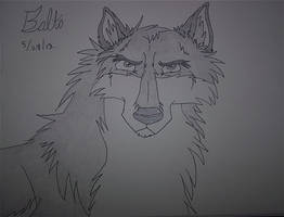 Balto In A Realistic Style