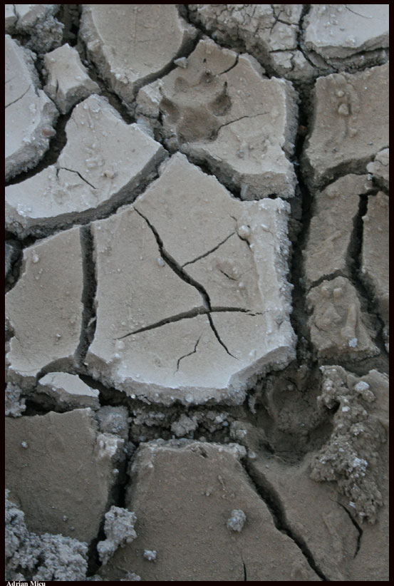 Earth Texture by CharlieOne on DeviantArt