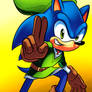 Link Sonic