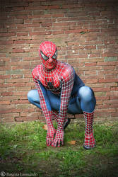 Perfect Spiderman Costume
