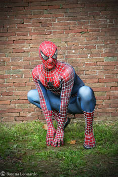 Perfect Spiderman Costume