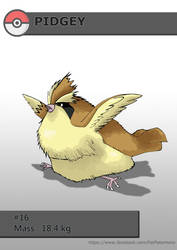 FAT PIDGEY