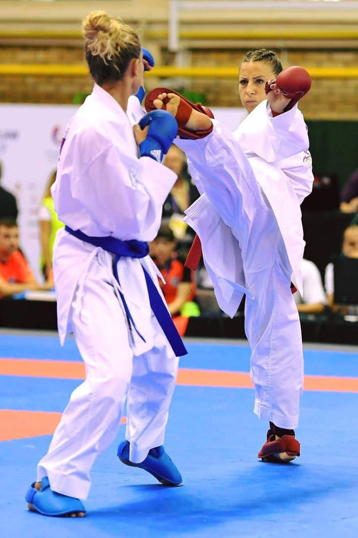 Karate Spring Boot Karate Boot Sparring by motowndevildog on DeviantArt