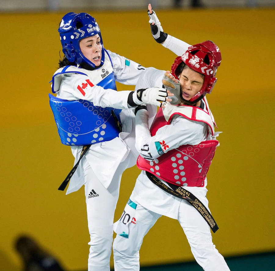 Wincal Kick Pad Taekwondo Doppia Faccia - Per Allenamento Arti Marziali, 38x19 Cm - Foto 4