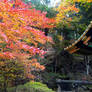 Autumn in the Nikko Taiyu-In