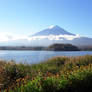 Fuji and Kawaguchiko nature