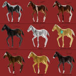 Gift Raffle Foals EDIT by fairybloom28