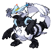 Zekrom, Reshiram and Kyurem