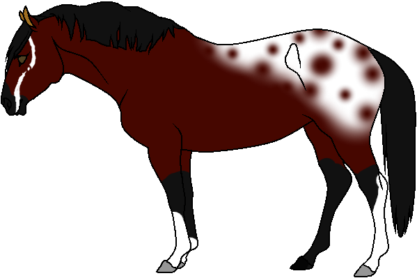 Horse Adopt 4 -Open-