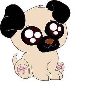 camila the cute pug puppy