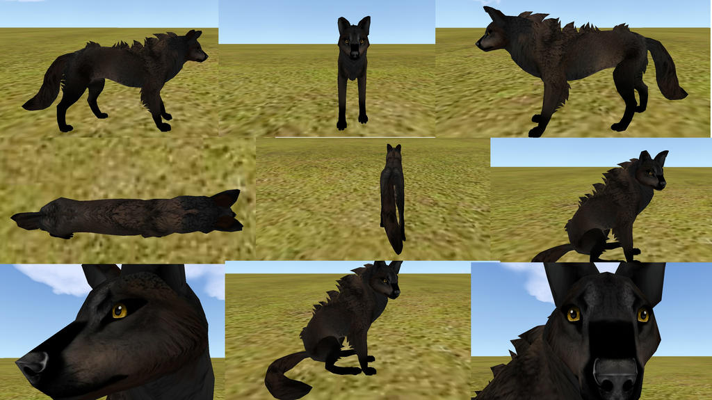 Free realistic wolf preset by WinterSnowLeopard on DeviantArt