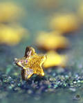 3 in 1 by SheilaMB-Photography