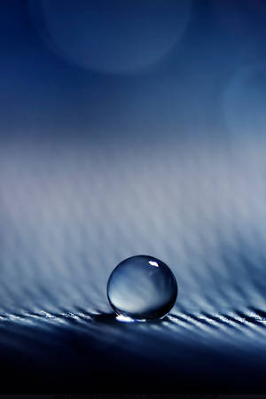 Simply Blue by Sheila-M-Carlo Simply Blue by Sheila-M-Carlo