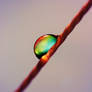 Rainow in a drop