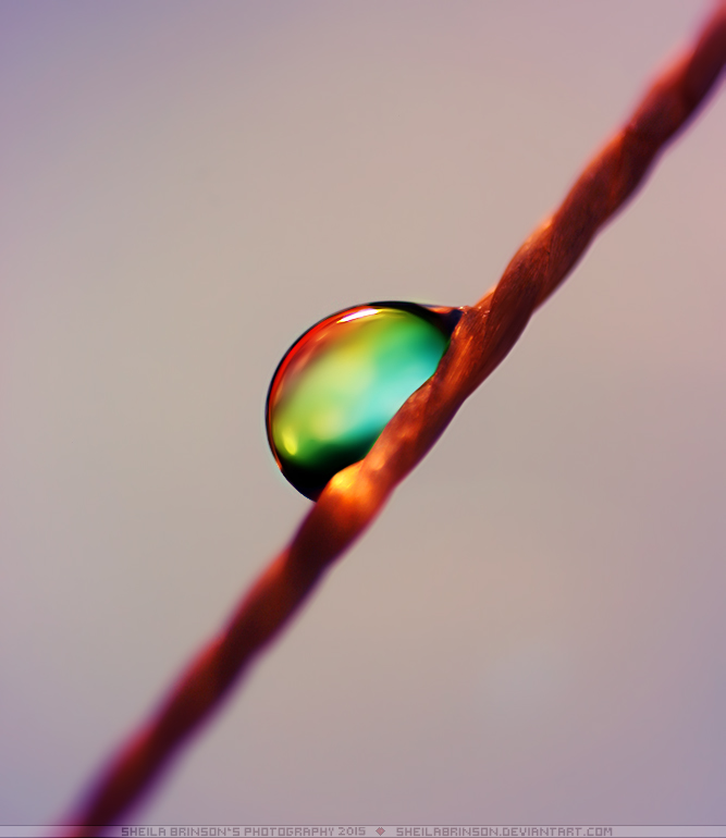 Rainow in a drop