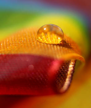 Rainbow Tear