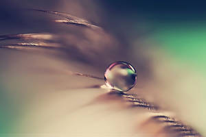Soft Stairs by SheilaMB-Photography Soft Stairs by SheilaMB-Photography