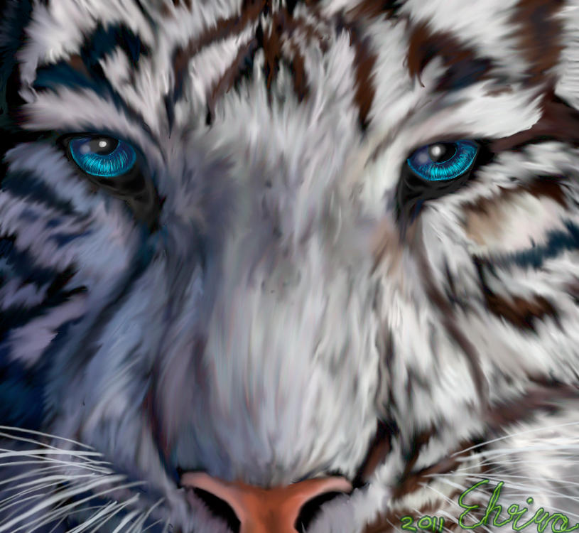 White Tiger with blue Eyes by Neovirah on DeviantArt